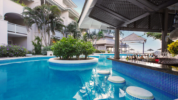 Bougainvillea Barbados